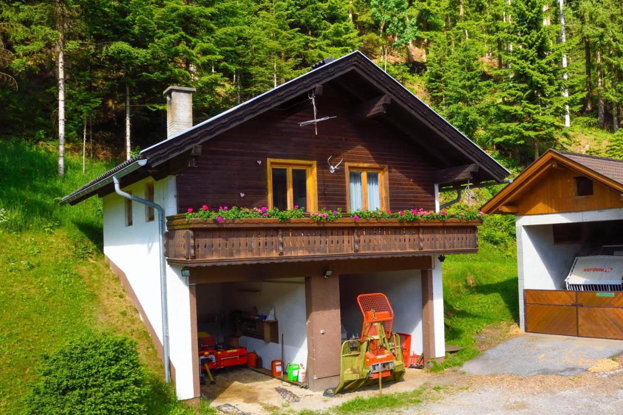 Hotel Gaestehaus Berger - Priglhof Treffen Exterior foto