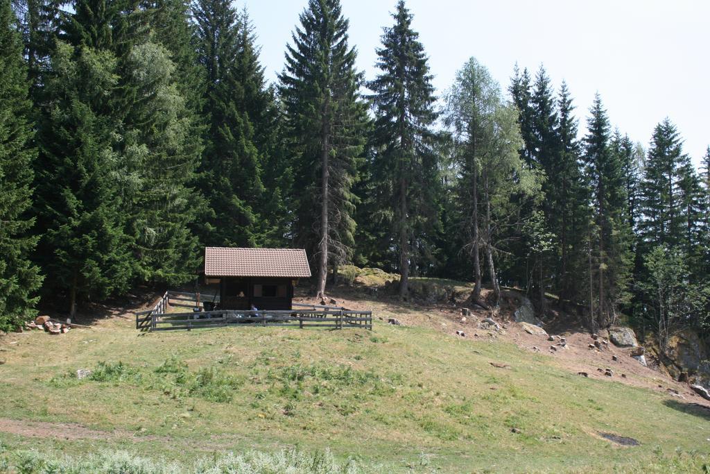 Hotel Gaestehaus Berger - Priglhof Treffen Exterior foto